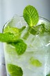 Mint ice vodka
