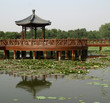 Pavillon chinois sur un lac