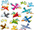 Family of birds