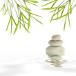 Zen Garden