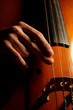Musician playing contrabass Musician playing contrabass