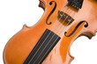 Close up of a violin Close up of a violin