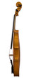 Violin on white background Violin on white background