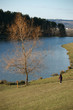 au bord du lac