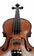 Violin over white