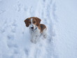 Schneespaß