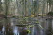 Early spring scenery of Landscape Reserve with frozen water