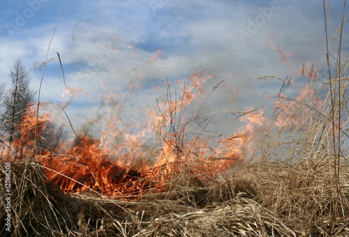 Photo: Fires Flare Fires Flare