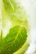 leaf mint and cut citrus in ice