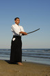 aikido sur la plage