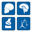 icons - schädel - nervensystem - gehirn