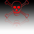 Piratería