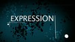 Expression - rotated text