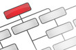 organigramm