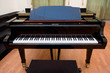 piano on the concert room piano on the concert room