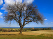 country scenic