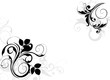 coin floral noir et gris