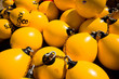 Buoy's