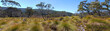 Cradle mountain park
