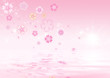Cherry blossoms