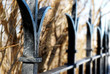 fence