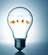 Goldfishes in Light bulb