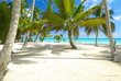 Caribbean beach