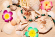 Beach still-life