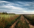 Countryside tracks