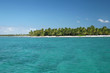 Paradise: Tropical Island with Palm Trees in Caribbean Ocean