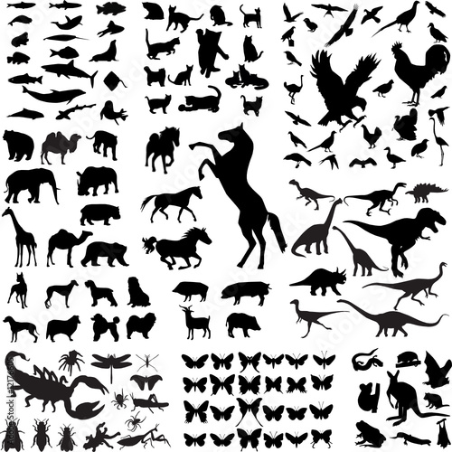 bird silhouette tattoo. animal silhouette vector