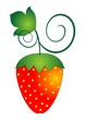 Berry of strawberry isolated on a white background, close-up. Berry of strawberry isolated on a white background, close-up.
