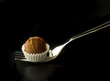 delicious chocolate truffle