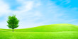 abstract scene green meadow and sky