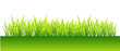 Spring, green grass for your design Spring, green grass for your design