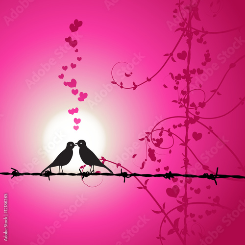images of love birds kissing. Love, irds kissing on branch