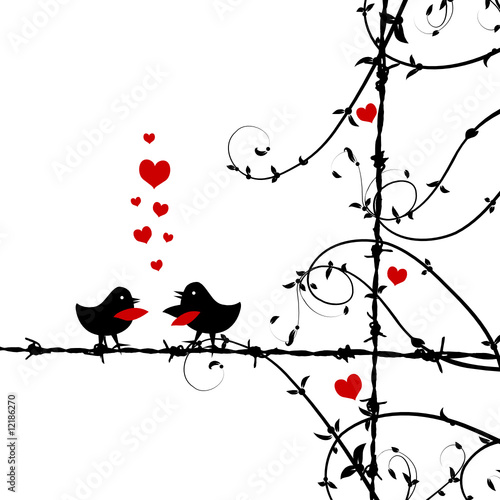 images of love birds kissing. Love, irds kissing on branch