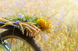 Summer flowers
