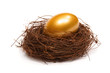 Gold egg in a real nest Gold egg in a real nest