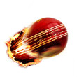 Illustration: Cricket ball Cricket ball