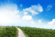 spring hillside