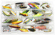 Tackle box