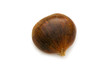 One chestnut isolated on the white background