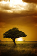Africa Sunset