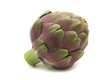 fresh artichoke on white background