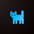 kitten