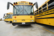 School Busses Parked in Lot