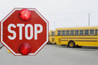Stop Sign on School Bus