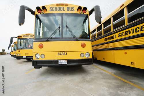 Photo: School Busses Parked in Lot School Busses Parked in Lot