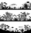 Coral foregrounds